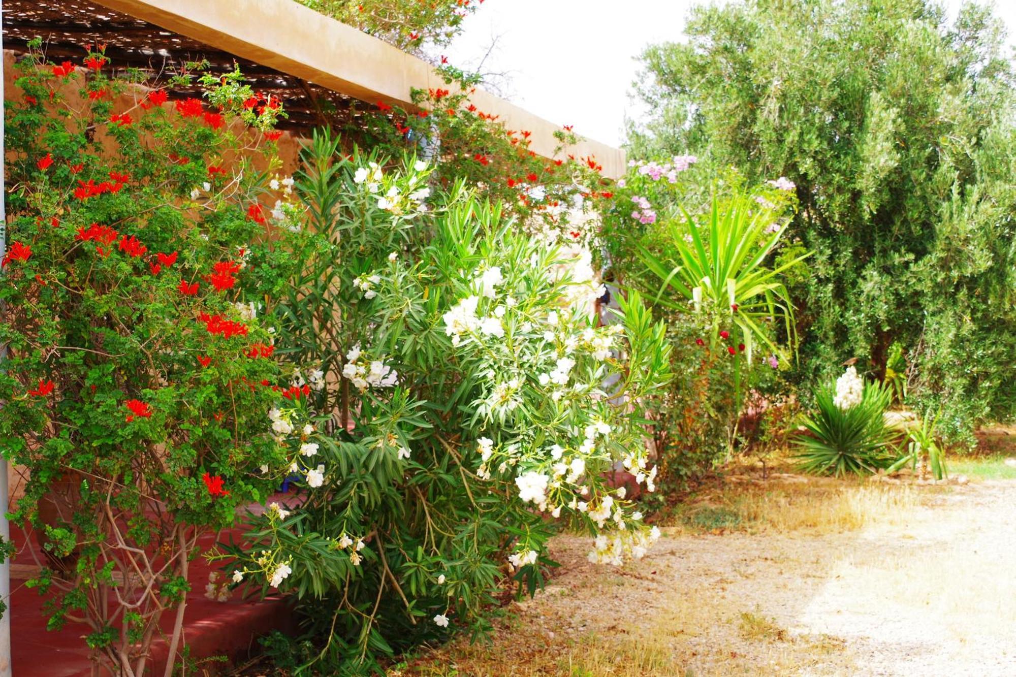 Artgana Lodge Essaouira Esterno foto