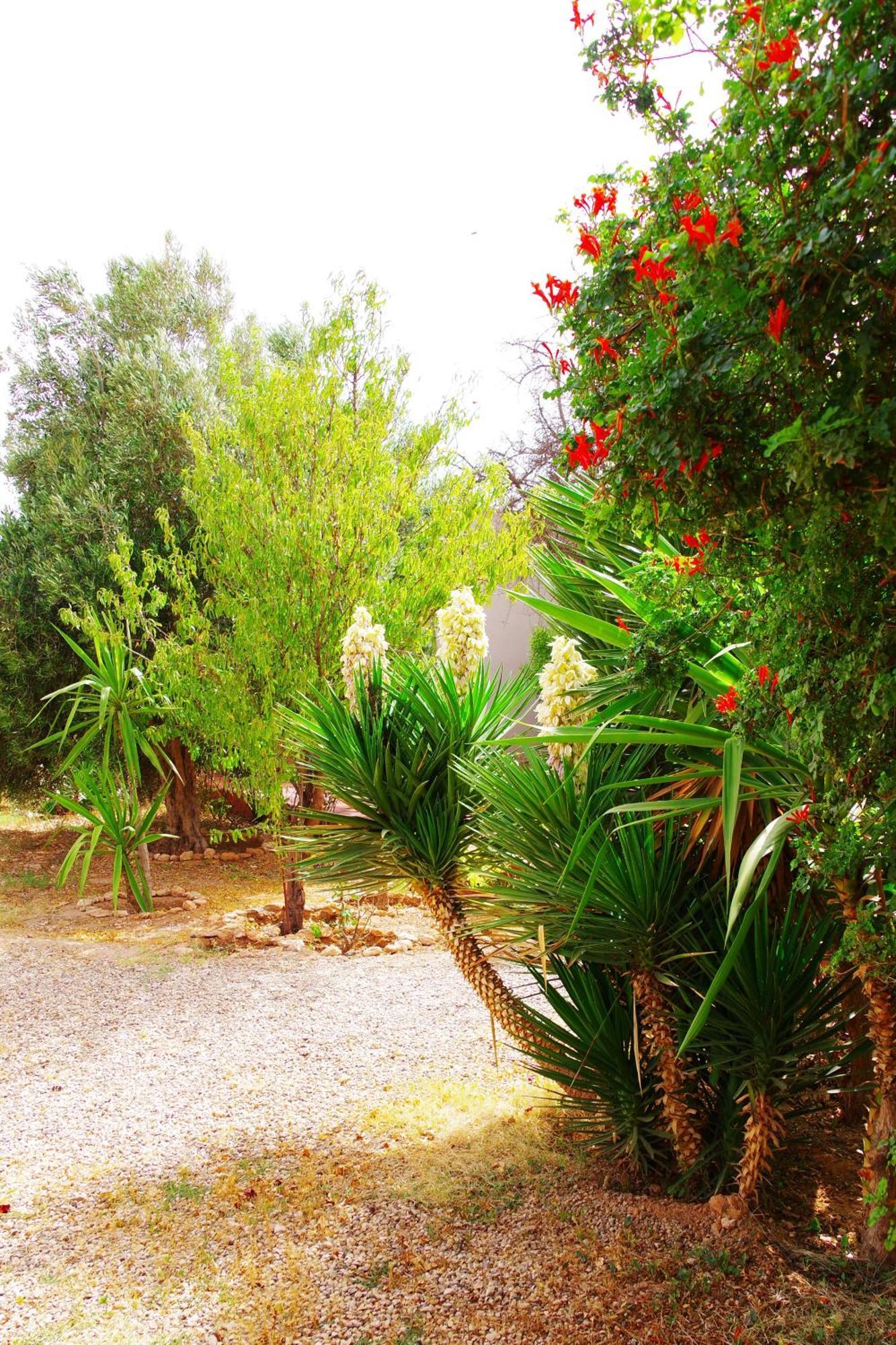 Artgana Lodge Essaouira Esterno foto